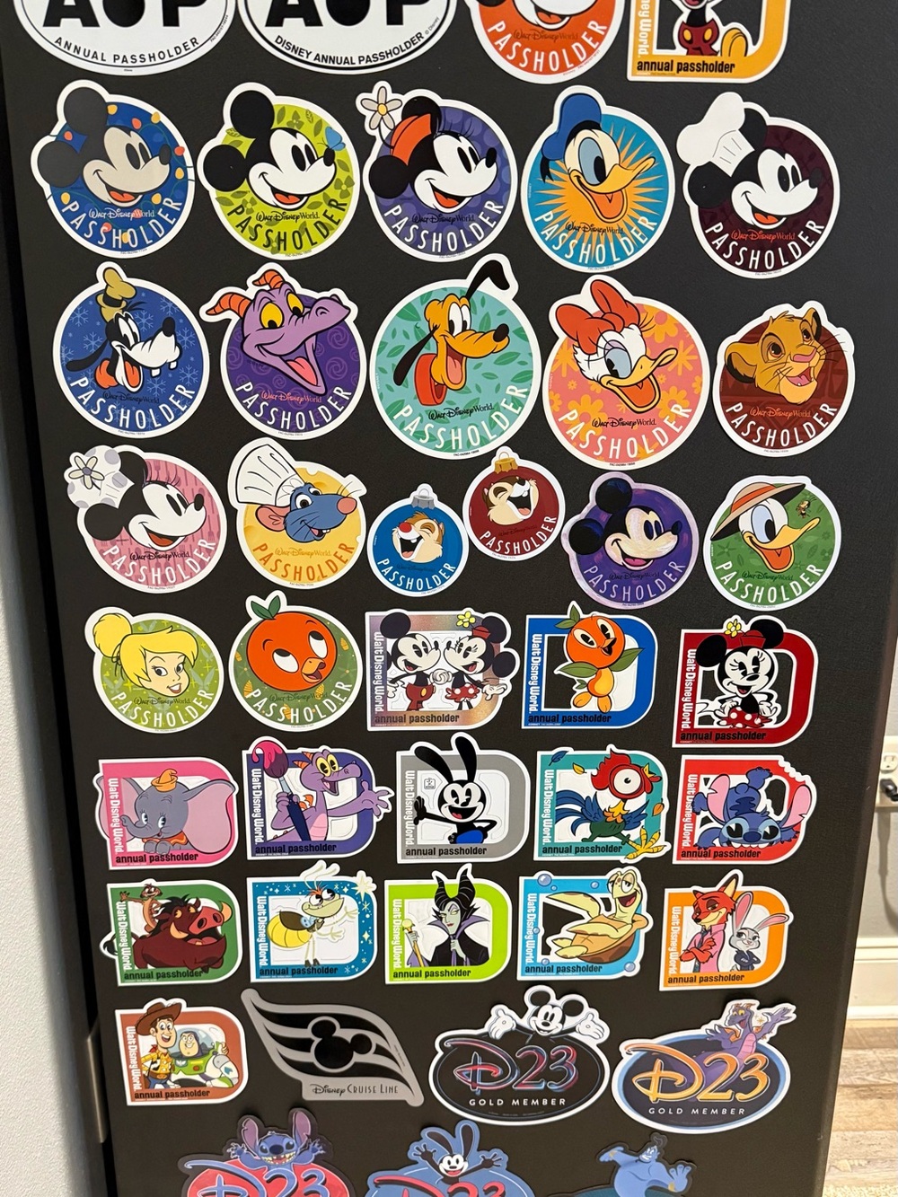 Authentic Disney Annual Passholder Magnets ~ COMPLETE SET ~ PRICE FIRM